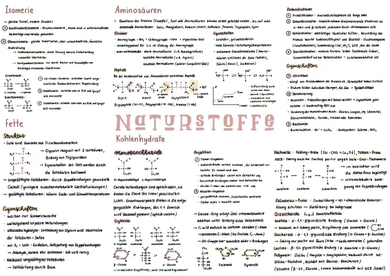 Energie aus Fett oder Kohlenhydraten: Naturstoffe Chemie für Schüler