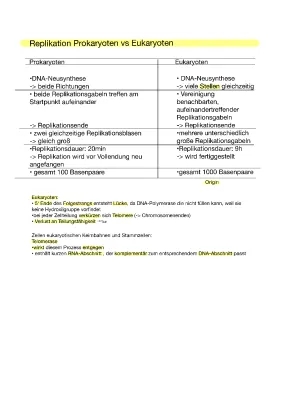 Einfache Erklärung: DNA-Replikation Prokaryoten vs. Eukaryoten