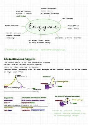 Was sind Enzyme und Proteine? Einfach erklärt für Kinder!