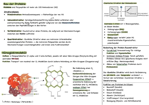 Einfache Erklärungen: Oxidative Decarboxylierung und Enzymhemmung