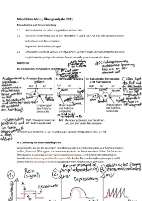 Mündliche Prüfung Biologie Abitur Beispielaufgaben und Lösungen PDF - Genetik, Evolution, Ökologie, Neurobiologie