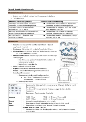 Was ist Genetik? Einfach erklärt - Chromosomentheorie der Vererbung, Chromosomenanalyse & mehr