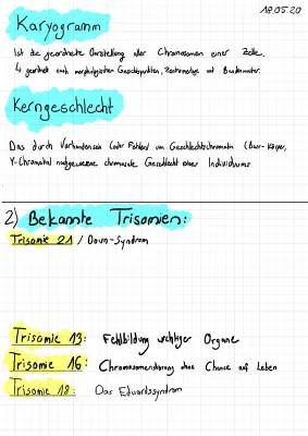 Trisomie 21 Ursachen und Symptome - Trisomien im Überblick