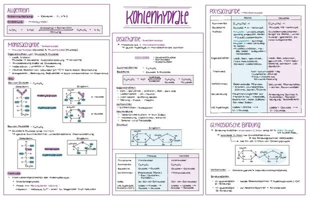 Monosaccharide und Polysaccharide: Beispiele, Lebensmittel und Glykosidische Bindung einfach erklärt