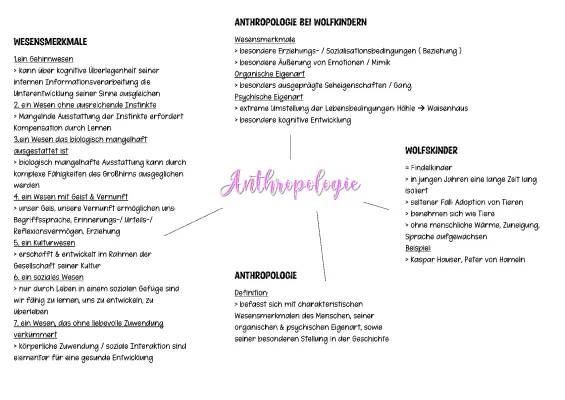 Spannende Welt der Kognitiven Fähigkeiten und Wolfskinder - Beispiele und Übungen