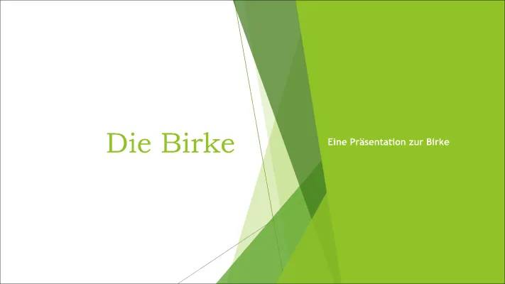 Entdecke die Welt der Birken: Verwendung, Preise und Besonderheiten