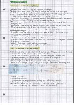 Kontinuierliche und Saltatorische Erregungsleitung: Einfach erklärt!