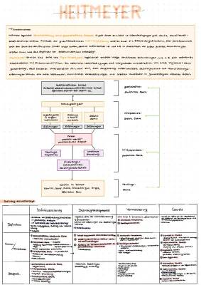 Heitmeyer Theorie - Zusammenfassung und Kontakt