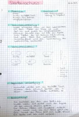 Stärkenachweis Kartoffel Protokoll - Grundschule Experiment mit Lugolsche Lösung