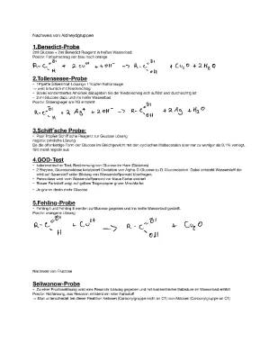 Nachweis Kohlenhydrate Unterricht: Experimente mit Fehling-Probe und GOD-Test