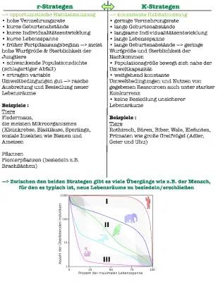 K-und R-Strategen Tabelle: Beispiele und Merkmale