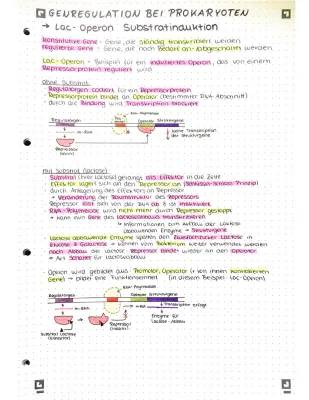 Alles über Genregulation, Crossing-Over und Epigenetik: Einfach erklärt