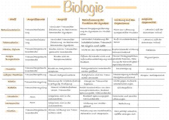 Synapsengifte: Beispiele, Wirkungen, und Arbeitsblätter für dich