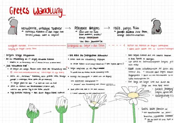 Grete Samsa in „Die Verwandlung“: Zusammenfassung & Charakterisierung