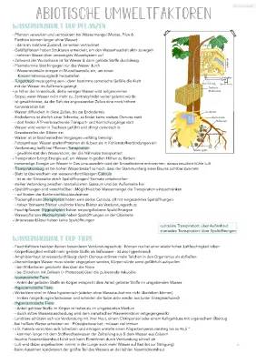 Wasserhaushalt der Pflanzen leicht erklärt - Arbeitsblatt und Beispiele