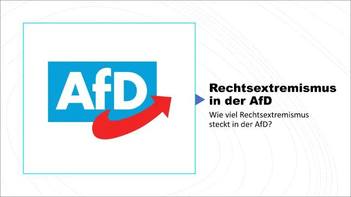 AfD: Extremismus, Grundgesetz und Wahlprogramm einfach erklärt