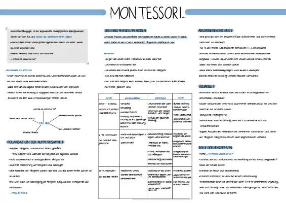 Montessori Pädagogik: 10 Grundsätze und Sensible Phasen