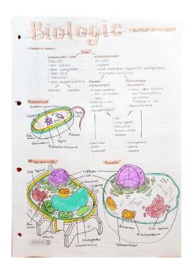 Zellbiologie: Unterschiede Tier- und Pflanzenzelle, Aufbau und Klausurvorbereitung