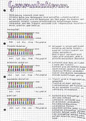 Genmutationen: Punktmutation, Leserastermutation und mehr 🧬😎