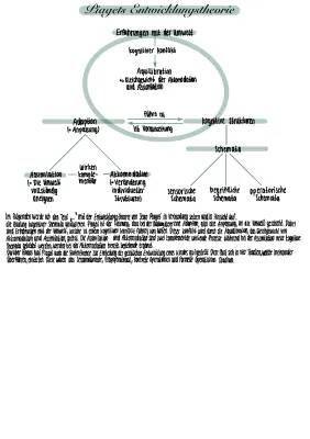 Piaget Stufenmodell Lernzettel: Piaget Theorie und Entwicklung einfach erklärt