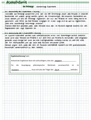 Das spannende Acetabularia Experiment: Zellkern Aufbau einfach erklärt