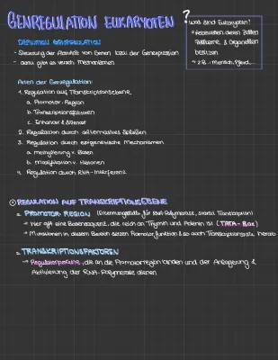 Genregulation leicht erklärt: Eukaryoten vs Prokaryoten – Einfache Aufgaben und Mindmap