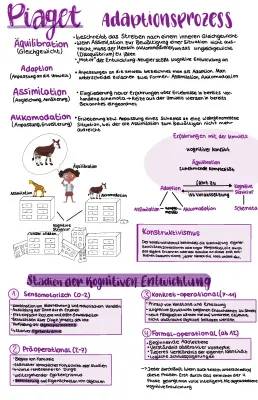 Piaget Theorie: Kognitive Entwicklung einfach erklärt