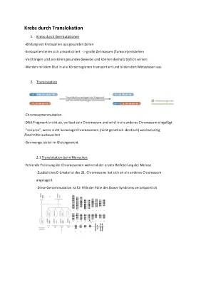 Balancierte Translokation Kinderwunsch und Symptome