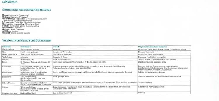 Vergleich Schimpanse & Mensch - Tabelle & Arbeitsblatt Lösungen