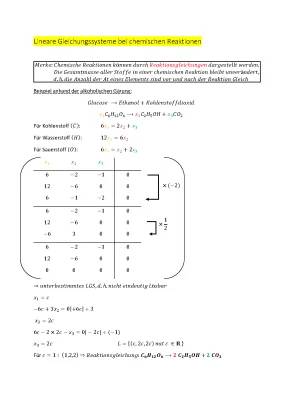 Reaktionsgleichungen und Gleichungssysteme einfach erklärt für die Schule