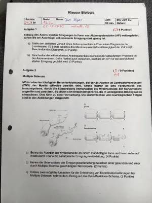 Myelinscheide und Multiple Sklerose: Einfach erklärt!