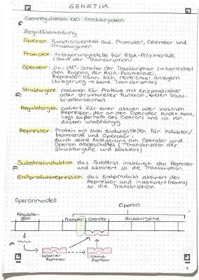 Genetik: Einfach Erklärt - Genregulation und Epigenetik