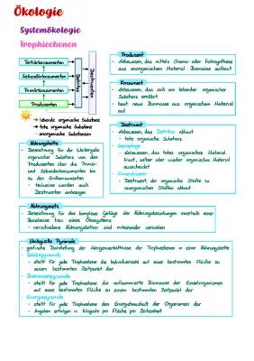 Alles über Trophieebenen und ökologische Pyramiden