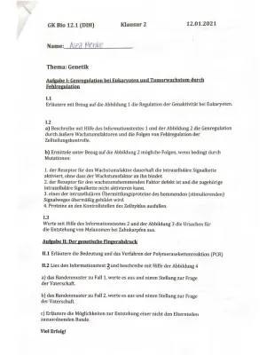 Genregulation bei Eukaryoten und Prokaryoten einfach erklärt