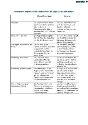 Vergleich Auge und Kamera: Tabelle, Brennweite, Optisches System und mehr