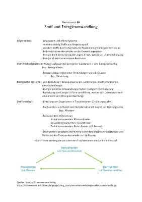 Der Stoffkreislauf einfach erklärt: Produzenten, Konsumenten und Destruenten