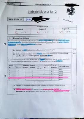 Maltose Verwendung und Spaltung, Enzymaktivität bei Temperatur & pH-Wert