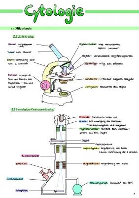 Biologie LK Cytologie Zusammenfassung Abitur