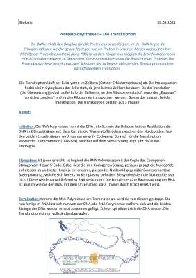 Transkription und Proteinbiosynthese einfach erklärt - Vergleich von Eukaryoten und Prokaryoten