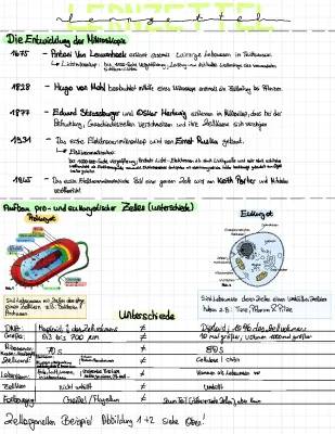 Mikroskop Geschichte und Zellforschung für Kinder: Wer hat das Mikroskop erfunden?