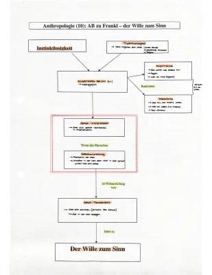 Was ist Sinn nach Viktor Frankl? Erklärung und Schaubild für Kinder