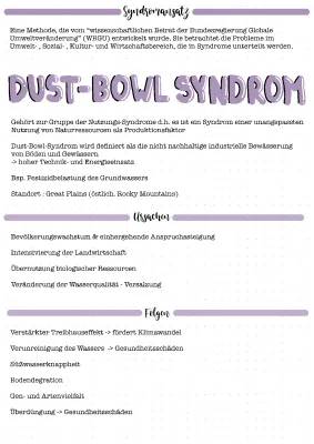 Das Dust Bowl-Syndrom: Was es ist und wie wir es lösen können