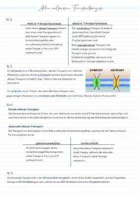 Aktiver und Passiver Transport: Einfach Erklärt mit Beispielen