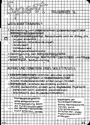 Skelettmuskeln einfach erklärt: Aufbau und 3 wichtige Aufgaben