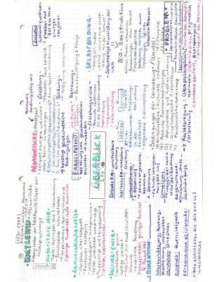 Erziehungs- und Bildungswissenschaften: Jobs, Master, Gehalt, Marburg - Mind Maps