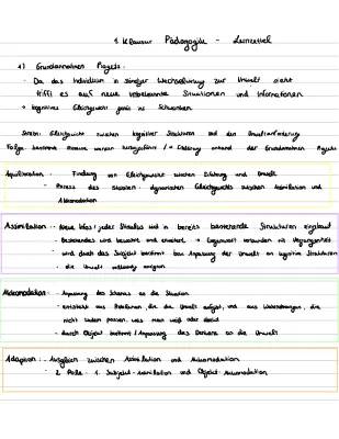 Piaget Stufenmodell einfach erklärt: Akkommodation, Assimilation & Anlage-Umwelt