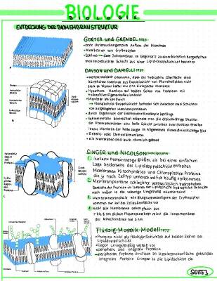 Biomembran: Aufbau, Funktion & Modelle - Flüssig-Mosaik, Sandwich & mehr 🧬