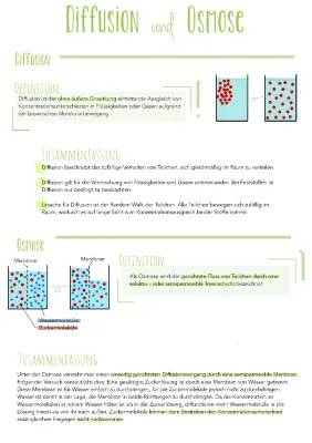 Diffusion und Osmose einfach erklärt: Beispiele, Unterschiede & Biologie