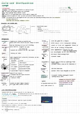 Cytologie einfach erklärt: Zellorganellen und Zellen für Kinder