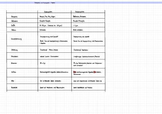 Prokaryoten und Eukaryoten: Unterschiede, Gemeinsamkeiten, und Beispiele - Tabelle für Kids
